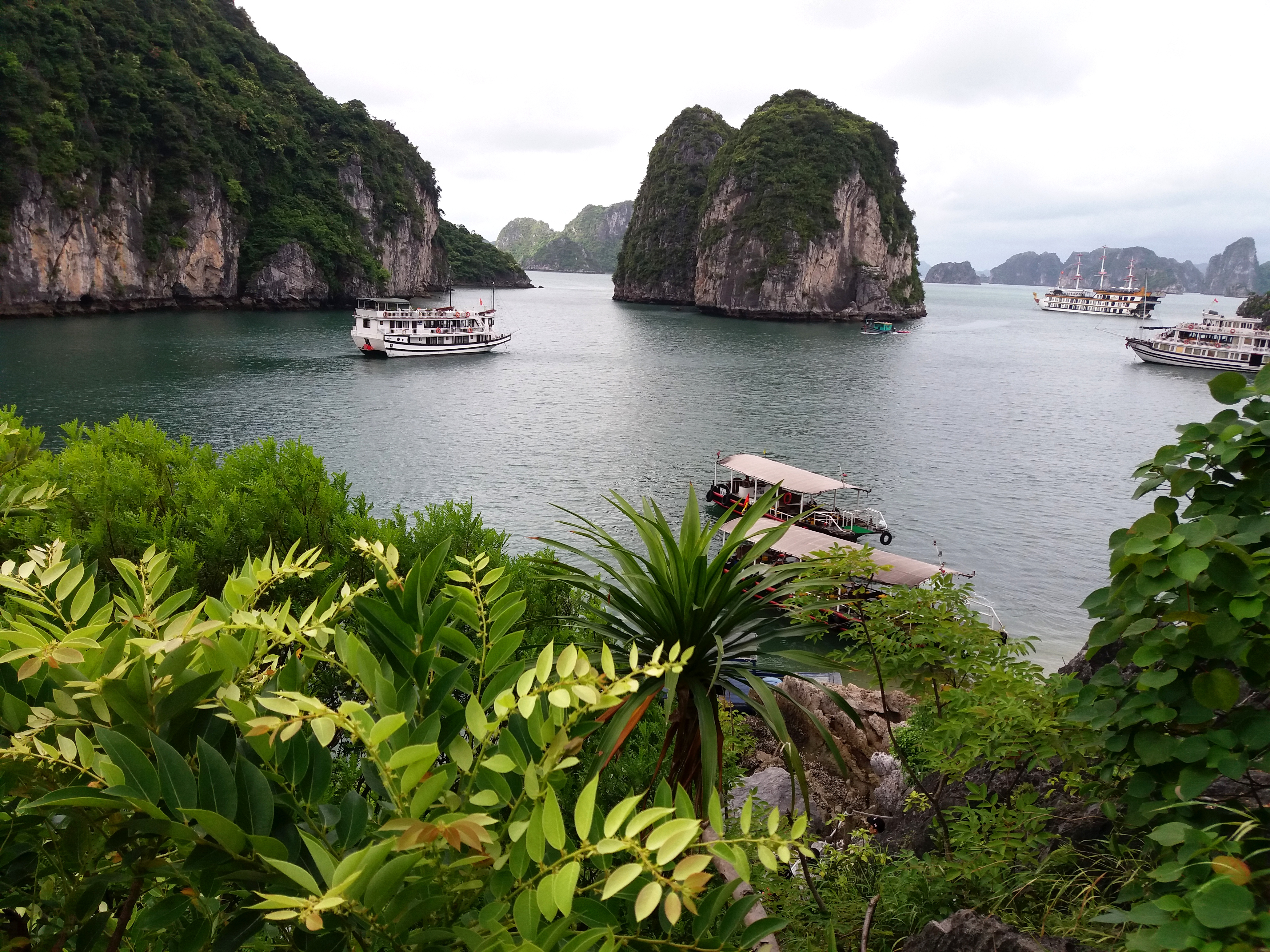 Vietnam Guide pour organiser sa croisière dans la Baie d'Halong L