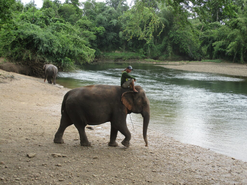 Thaïlande: Faire du volontariat dans un refuge d’éléphants à Kanchanaburi