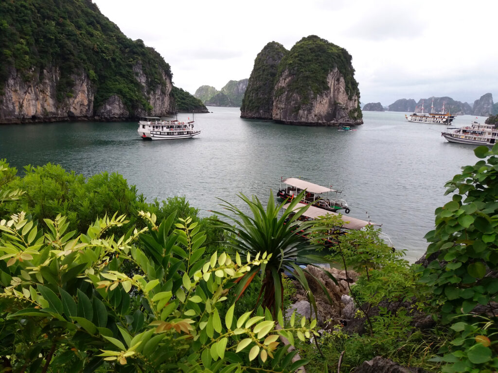 Vietnam: Guide pour organiser sa croisière dans la Baie d’Halong