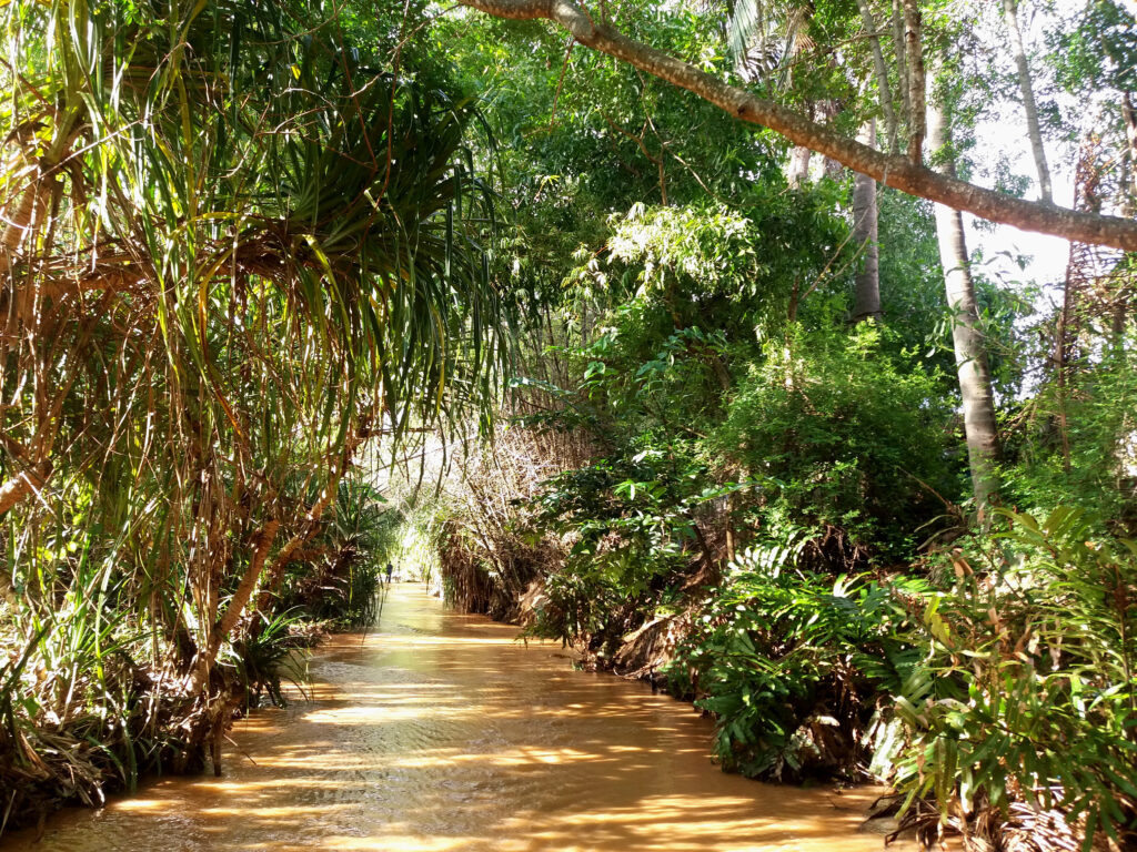 Vietnam: La rivière des fées, un canyon fabuleux à découvrir à Mui Ne!