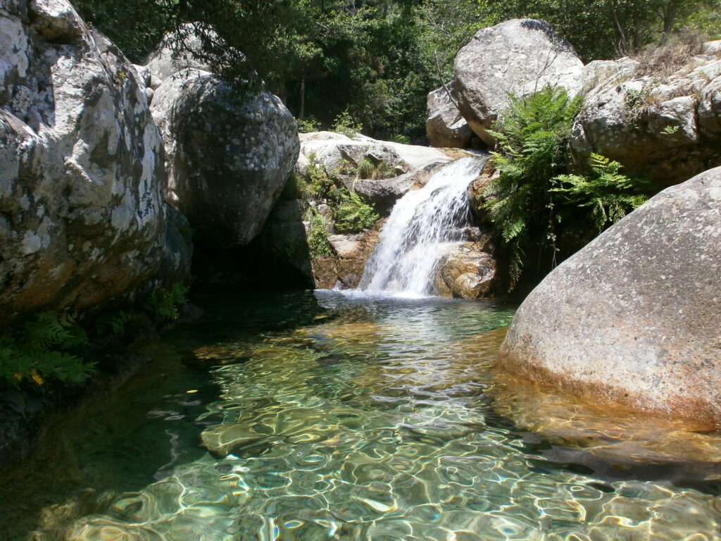 Corse: Top 4 des rivières où se baigner cet été