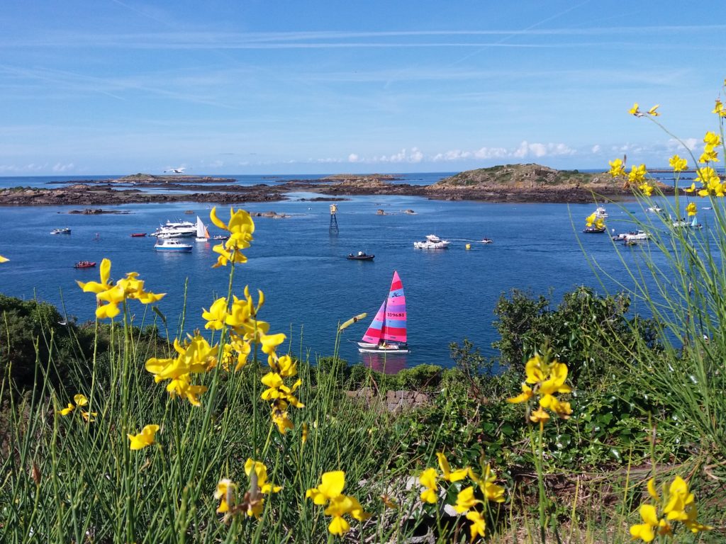 Normandie: Excursion sur les îles Chausey Chausey paysage