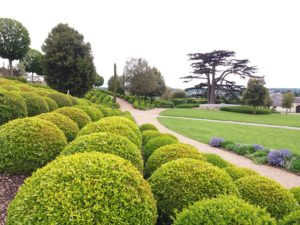 jardins château d'amboise