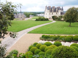 jardins château d'amboise