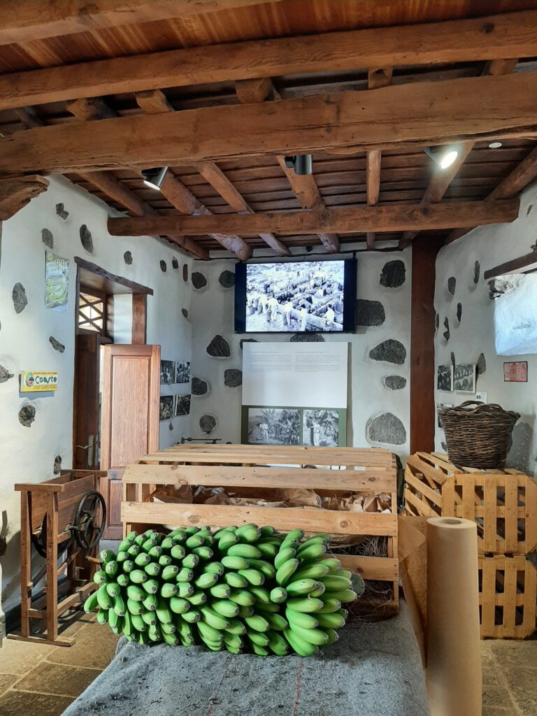 Casa del Plátano