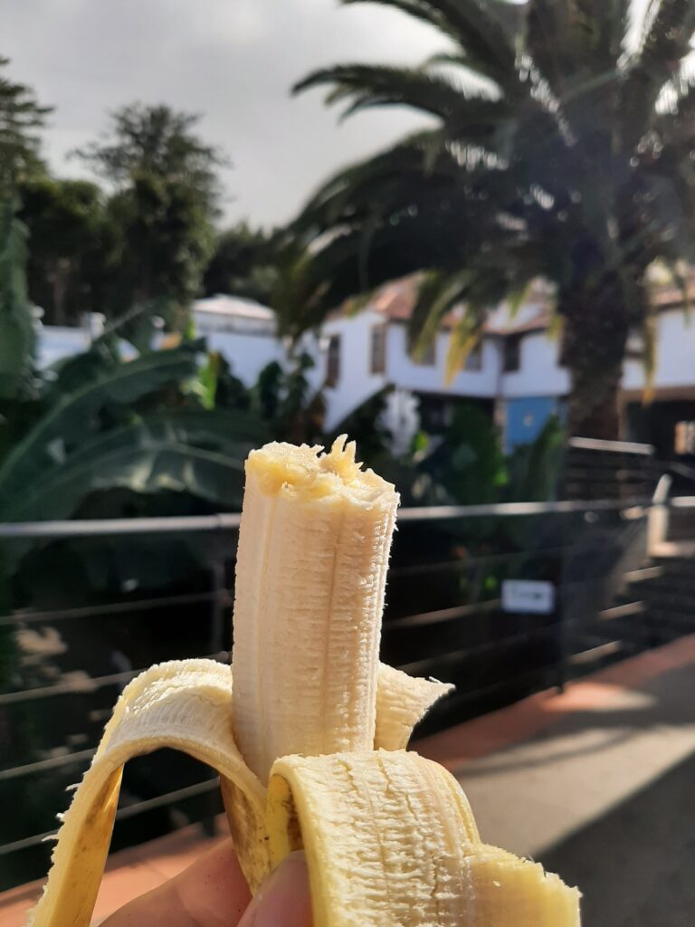 Casa del Plátano