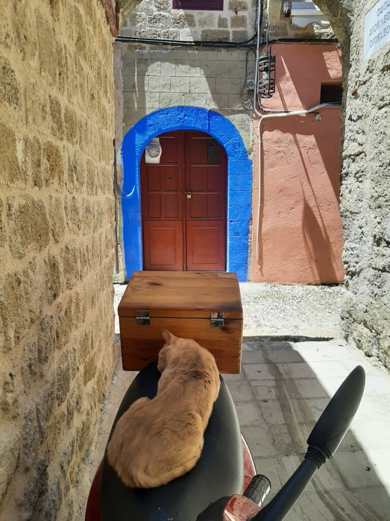 chat grèce