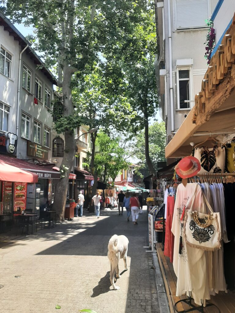 büyükada îles au prince