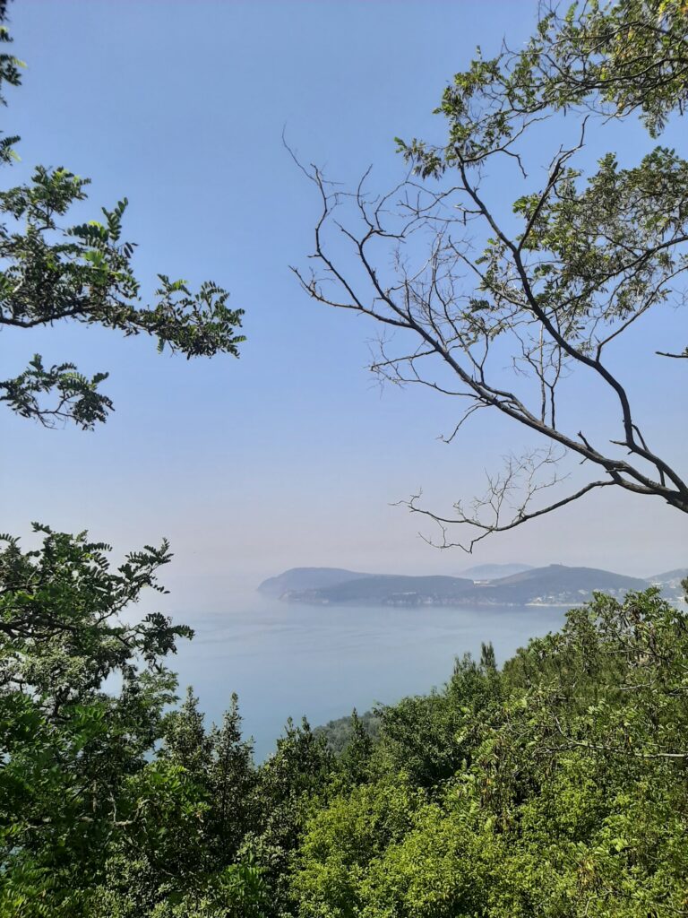 büyükada îles au prince