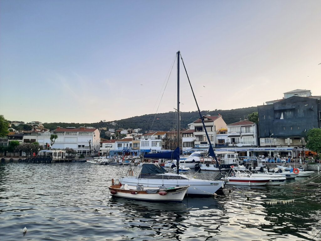 Burgazadasi iles au prince