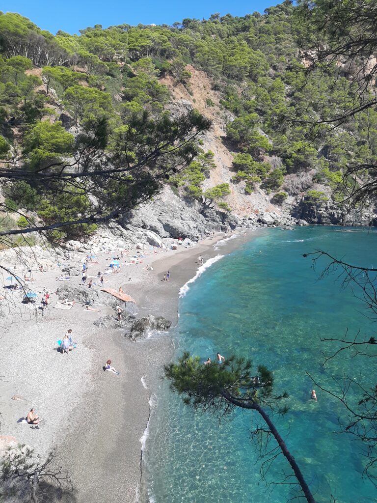 Fonda costa brava