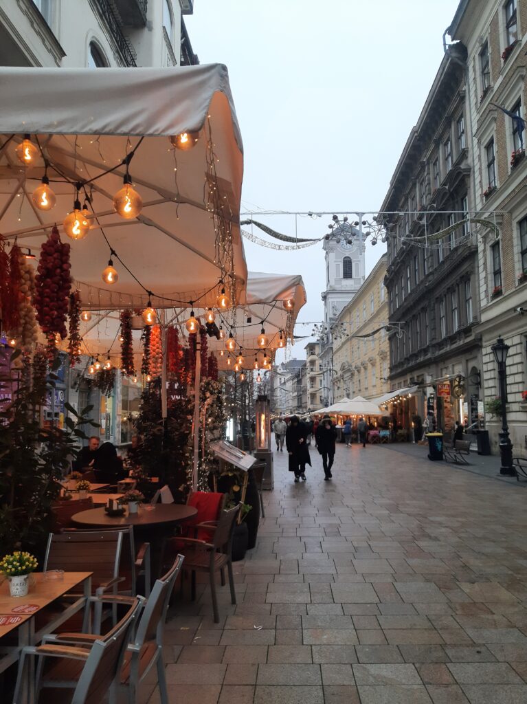 rue budapest